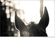 Фотография Васке Валерии