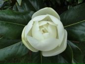 Кир Под фотография #7 (источник - https://vk.com/id288511)