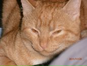 Віктор Барна фотография #47 (источник - https://vk.com/id55537907)