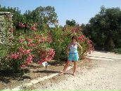 Фотография Мельников Максим