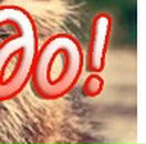 Надія Кобльовська фотография #22 (источник - https://vk.com/id150836180)