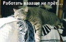 Сергій Бір фотография #16 (источник - https://vk.com/id147327481)
