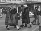 Viktor Jb фотография #16 (источник - https://vk.com/id6032607)