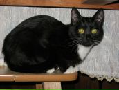 Андрій Дацюк фотография #39 (источник - https://vk.com/id27747637)