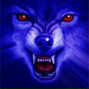 Фотография Быданова Александра