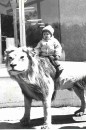 Фотография Алина Шевченко