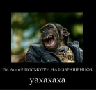 Фотография Горохова Дениса