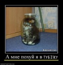 Еліна Шнайдер фотография #23 (источник - https://vk.com/id132432288)