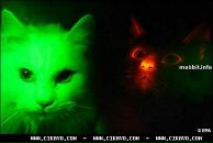 Эдуард Κрюков фотография #8 (источник - https://vk.com/id114031150)