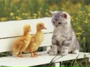 Оксана Сідляренко фотография #6 (источник - https://vk.com/id156581855)