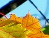 Христя Белей-Батіг фотография #22 (источник - https://vk.com/id86833143)