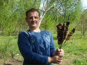 Вован Ніколаєв фотография #16 (источник - https://vk.com/id33479014)