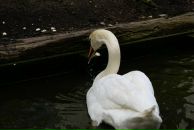 Фотография Алтыевой Саши