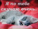 Ігорь Данько фотография #27 (источник - https://vk.com/id144759863)