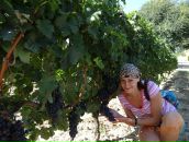 Фотография Шульги Марины