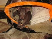 Фотография Максименкова Максима