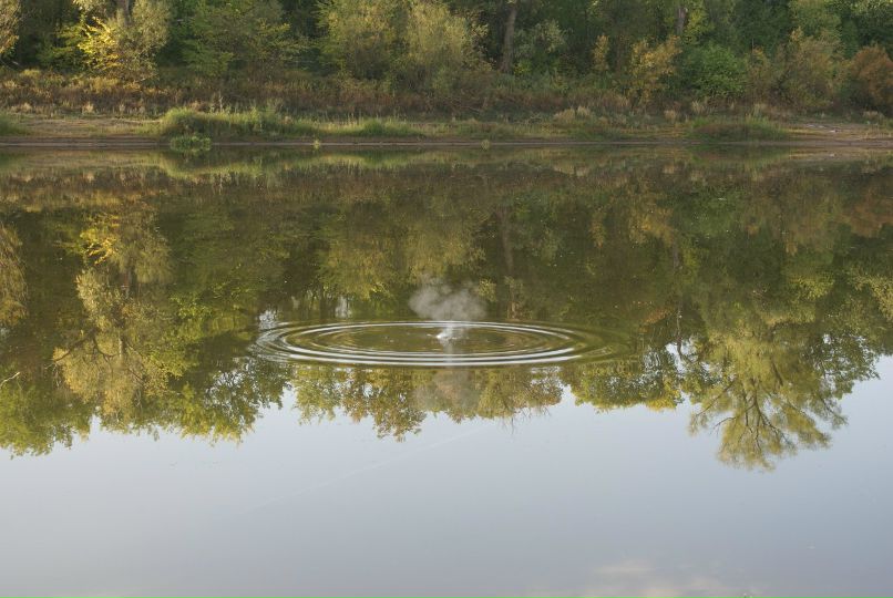 Глеб Пуцман фотография #38