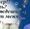 Олічка Мишок фотография #19 (источник - https://vk.com/id147028133)