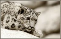 Фотография Богдановой Натальи