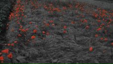 Ігор Шух фотография #45 (источник - https://vk.com/id10607430)