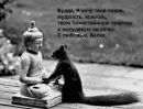Фотография Туголеса Гео