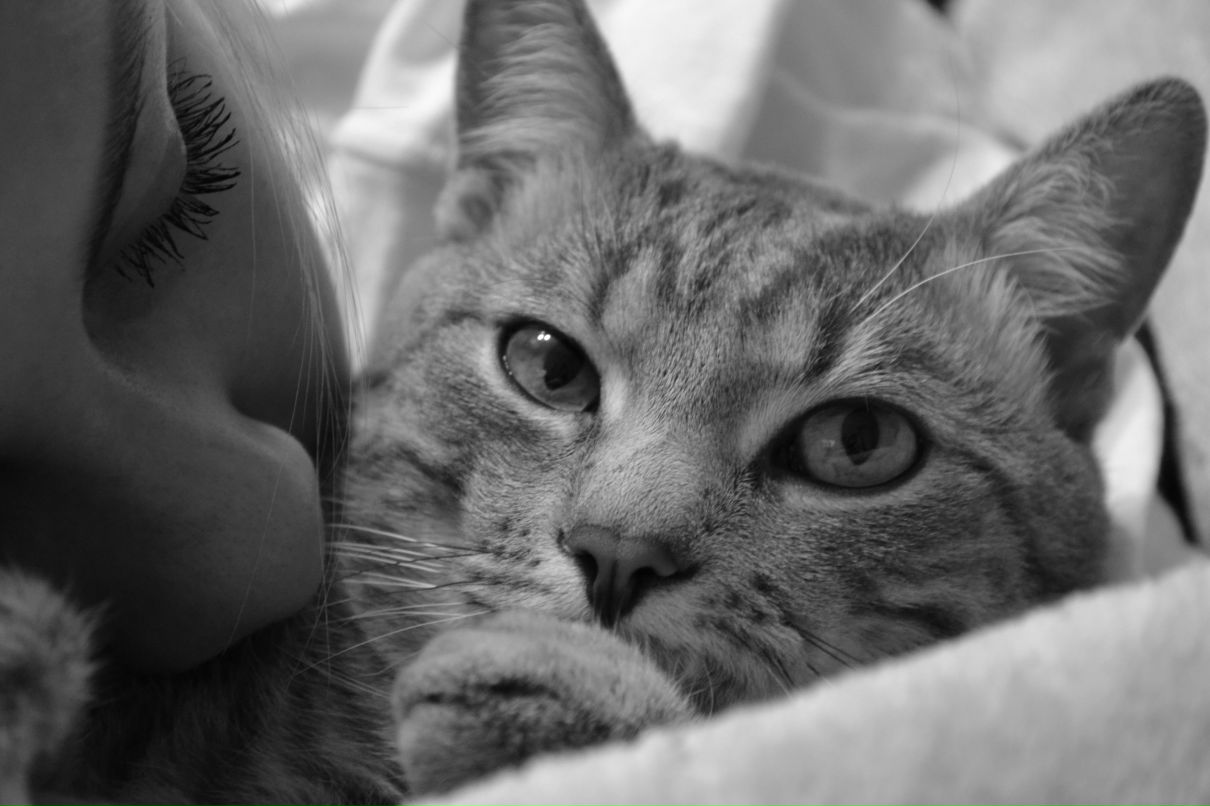 Катя Мельникова фотография #18