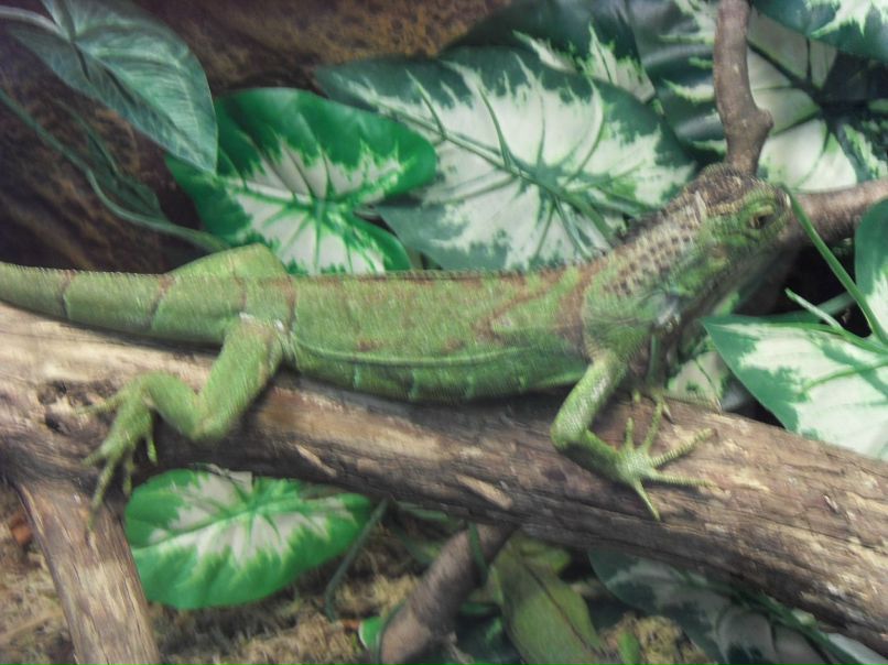 Андрей Бодеристов фотография #47