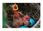 Big Magic фотография #38 (источник - https://vk.com/id7125496)