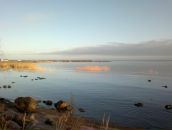 Фотография Кузнецова Тараса