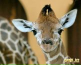 Фотография Греховой Екатерины