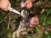 Mika| |drug фотография #15 (источник - https://vk.com/id101440267)