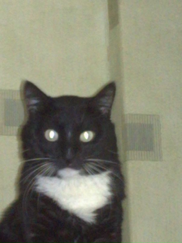 Артём Хмелёв фотография #26