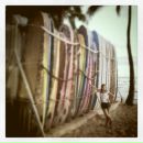 Фотография Квеквескири Элеоноры