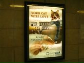 Владимир Дементьев фотография #10 (источник - https://vk.com/id227567)