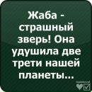 Володимир Ємельянов фотография #6 (источник - https://vk.com/id59011405)