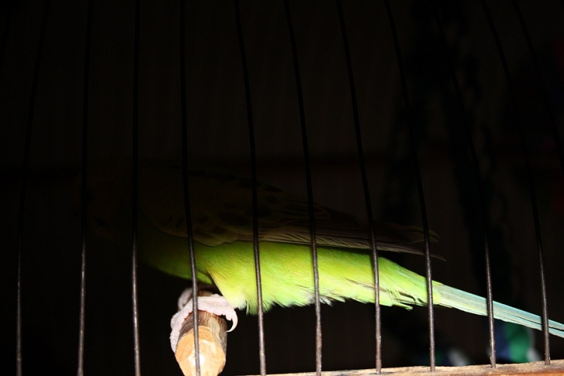 Данил Ушаков фотография #40