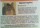 Фотография Юркмез Надежды