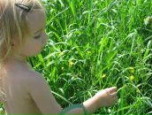 Фотография Сурмач Нади