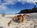 Кароліна Савка фотография #24 (источник - https://vk.com/id142257040)