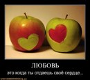 :*твой Пупс:* фотография #4 (источник - https://vk.com/id150434406)