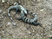 Ka Tya фотография #24 (источник - https://vk.com/id761063)