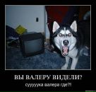 Сергій Шеремет фотография #38 (источник - https://vk.com/id7236265)