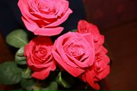 Фотография Шевченко Владимир