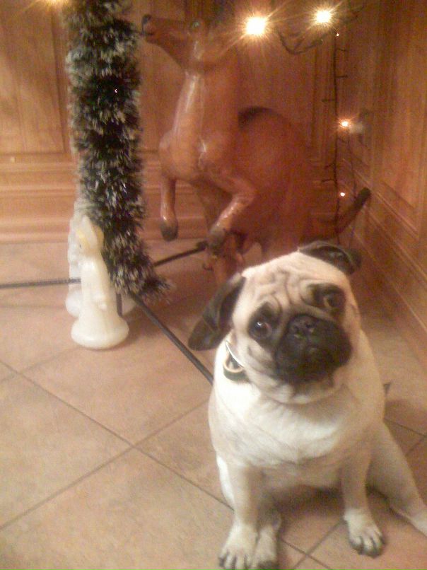 Олег Дудченко фотография #16