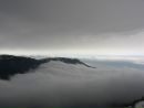 Фотография Тонкохвостой Масяни
