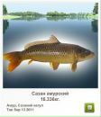 Вадім Горковенко фотография #18 (источник - https://vk.com/id132061658)