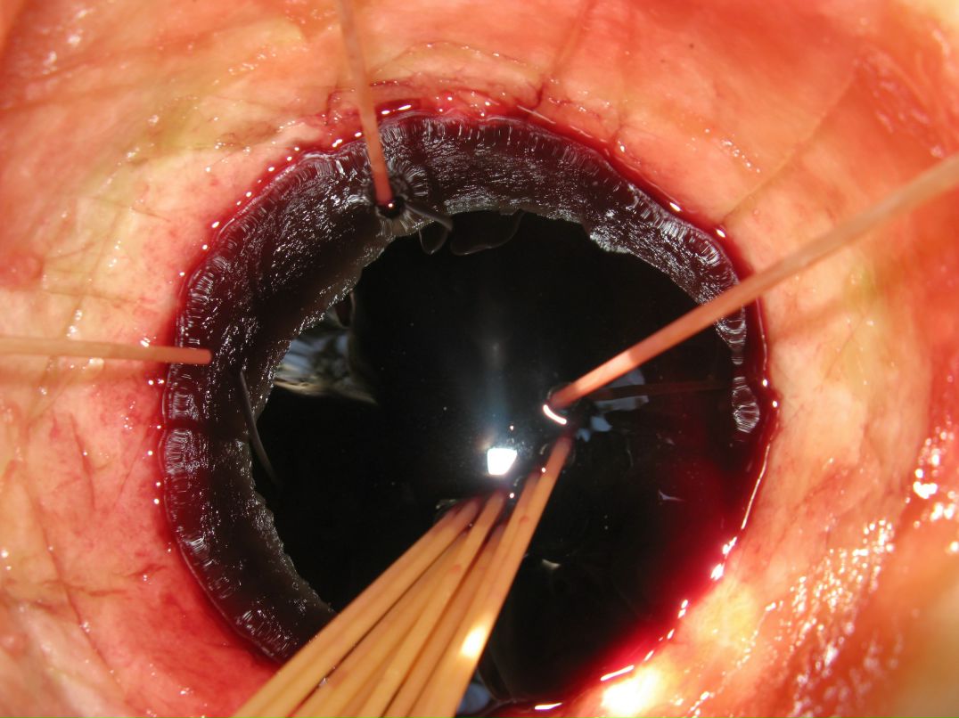 Cucumber Jam фотография #34