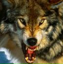 Сергій Попадюк фотография #14 (источник - https://vk.com/id175681985)