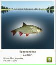 Анатолій Даценко фотография #41 (источник - https://vk.com/id67890914)