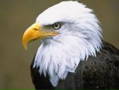 Тарас Машталір фотография #17 (источник - https://vk.com/id120013226)